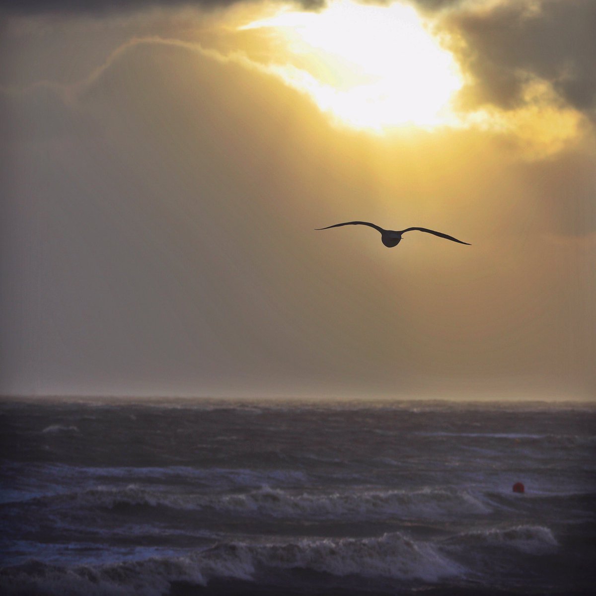 gybk's tweet photo. @GrimsbyTel Cleethorpes this morning. Wild, wet and beautiful. https://t.co/stRz0JqLth