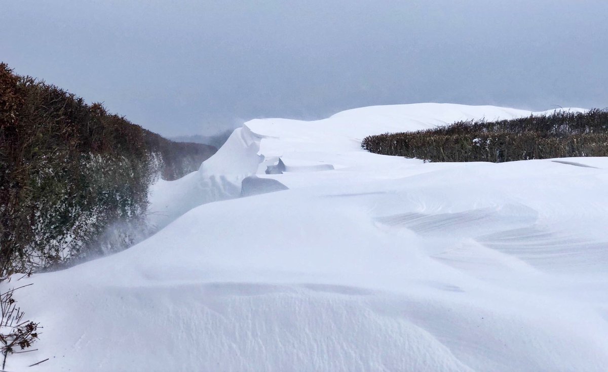 GreatDevonDays's tweet photo. Some of our famous Devon lanes are full of snow - here at Kentisbury @lovenorthdevon photo @Wand3rJust https://t.co/nAk811VyJP