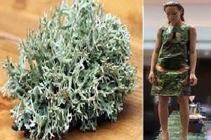 plasticsoupfoun's tweet image. &apos;@algiknit is taking kelp (seaweed) and turning it into &quot;bioyarn&quot; that can be woven together to make footwear and apparel products. via @YnFx buff.ly/2ozKbCx

They claim that &quot;textile from this material can be broken down by microorganisms when you&apos;re done with it.&quot;