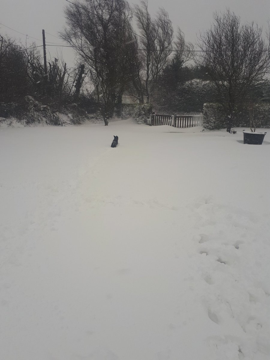 @Colmogorman @PatrickROBeirne @wexfordcoco @CarlowWeather Ballygarrett this morning and it's still coming down