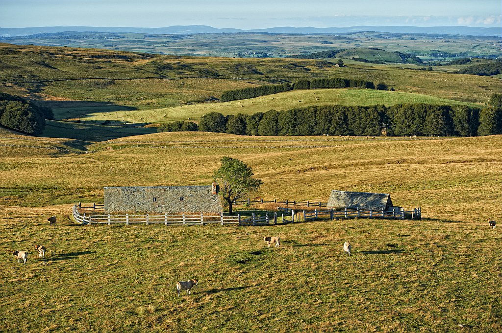 VoyageOccitanie's tweet photo. [C’EST OFFICIEL] L’Aubrac sera le 53 ième Parc Naturel Régional français 🌿.  
👉 Un label qui permettra de préserver et valoriser les richesses naturelles et culturelles d’un site à cheval sur trois départements: l’Aveyron, la Lozère et le Cantal : https://t.co/waHFWOwv8D https://t.co/FtfNCbxAbV
