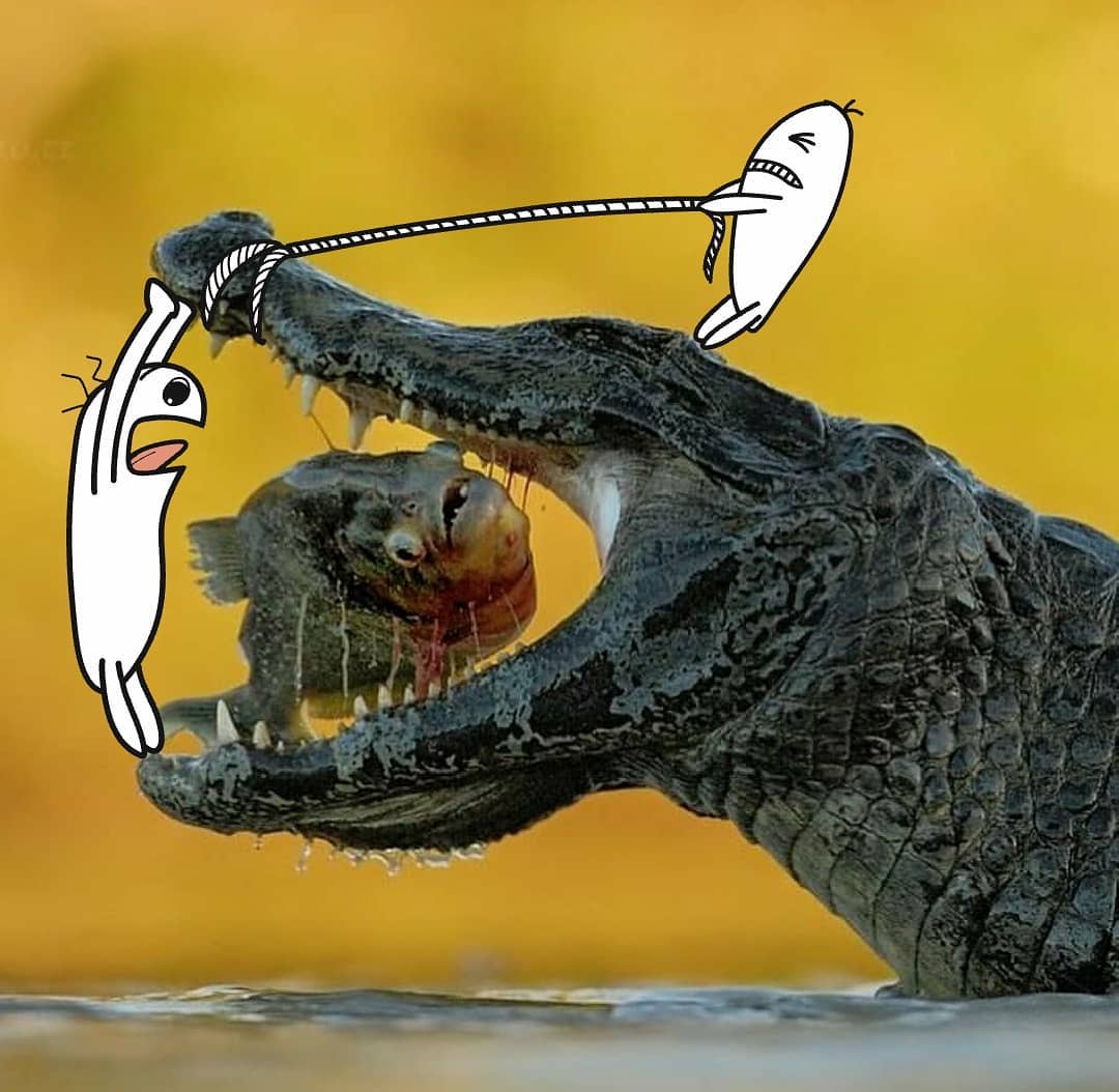 bemuse_doodle's tweet photo. Original photo: https://t.co/53L2DGq2s2

#grikart_macro #doodle #doodleart #doodles #illustration #adobedraw #scary #crocodile #friendship #comic #cute #cartoon #quickdoodle #latenightdoodle #naturephotography #photography https://t.co/FRn9sITjgO