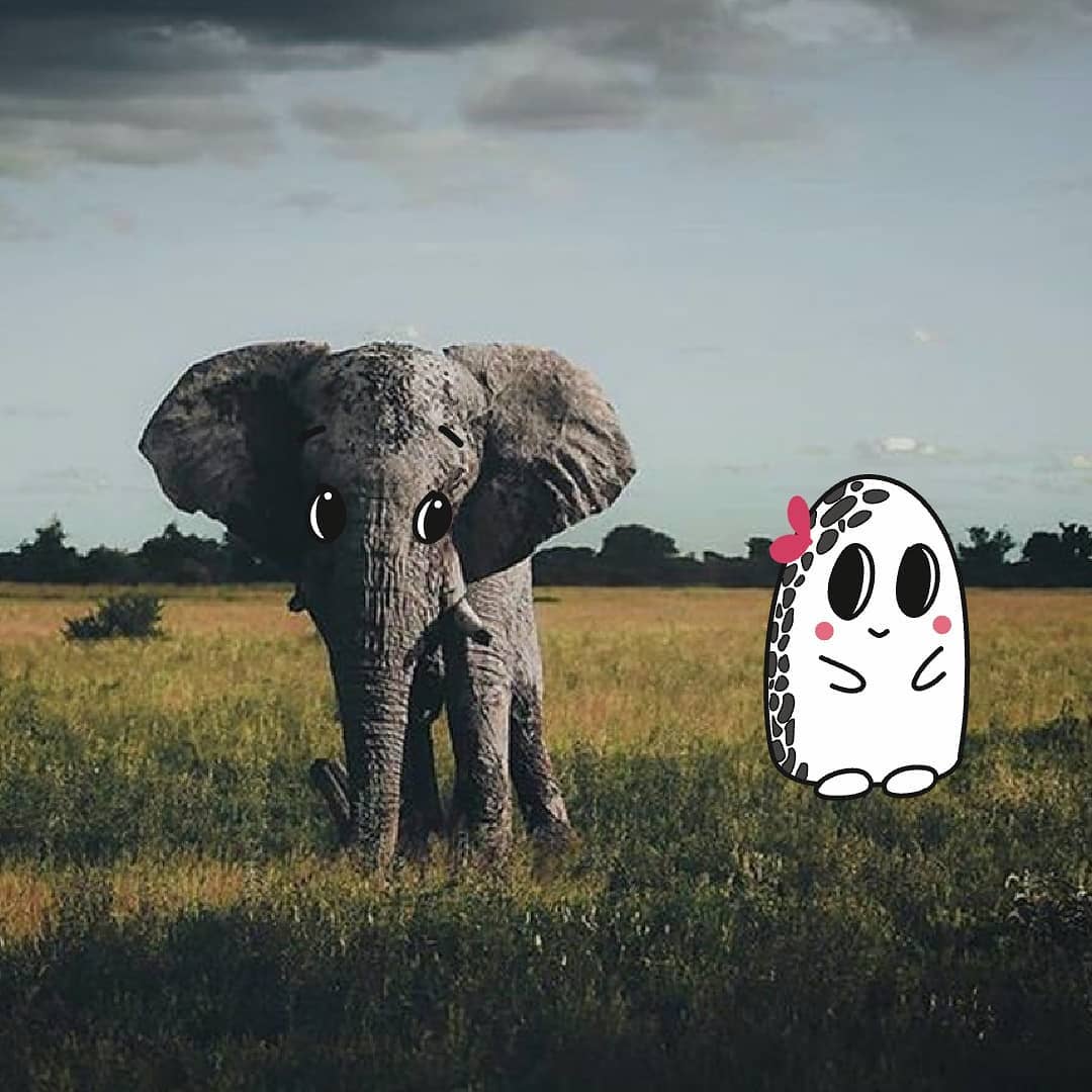 bemuse_doodle's tweet photo. Original photo : https://t.co/vtKADpj6cV ,  https://t.co/CBBKGVsyhe

#doodle #doodles #quickdoodle #first #love #adobedraw #cartoon #illustration #photography #elephant #feelings #imagination #wildlifephotography https://t.co/XHNLKPChqD