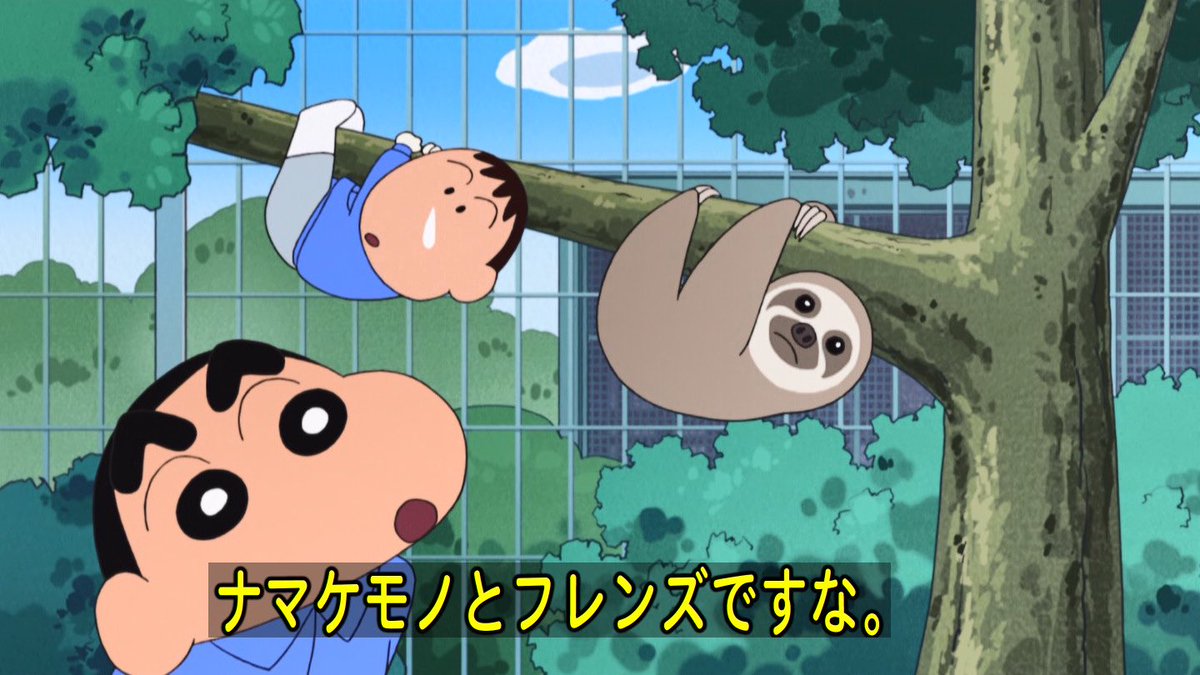 すっごーい！ ボーちゃんはナマケモノのフレンズなんだねー