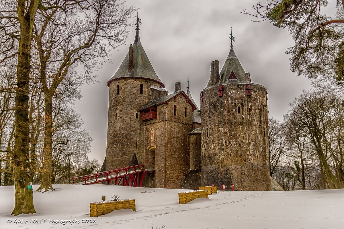 Gale Jolly tweet media