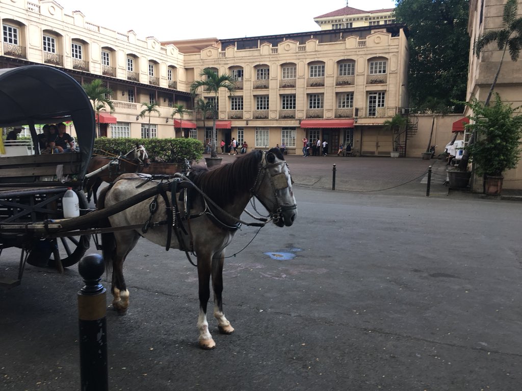 vlasovee's tweet photo. The remains of Fort Santiago, one of the oldest Hispanic stone fortress. Built in 1571 by conquistadors in Manila. https://t.co/0CbczGhDFm