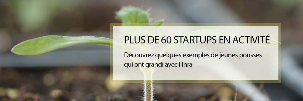 INRAE_France's tweet photo. @MatahiJuice @lesnvxaffineurs @Tassiopee @hiphen_plant @_PILIbio
@Enterome_Bs... Pour découvrir toutes les #startup de l’#Inra, rendez-vous sur notre site : https://t.co/ukYMZuPPoT #SIA2018 #innovation #FoodTech #AgTech #MicrobioTech #Environnement https://t.co/mA2ArE7vlY
