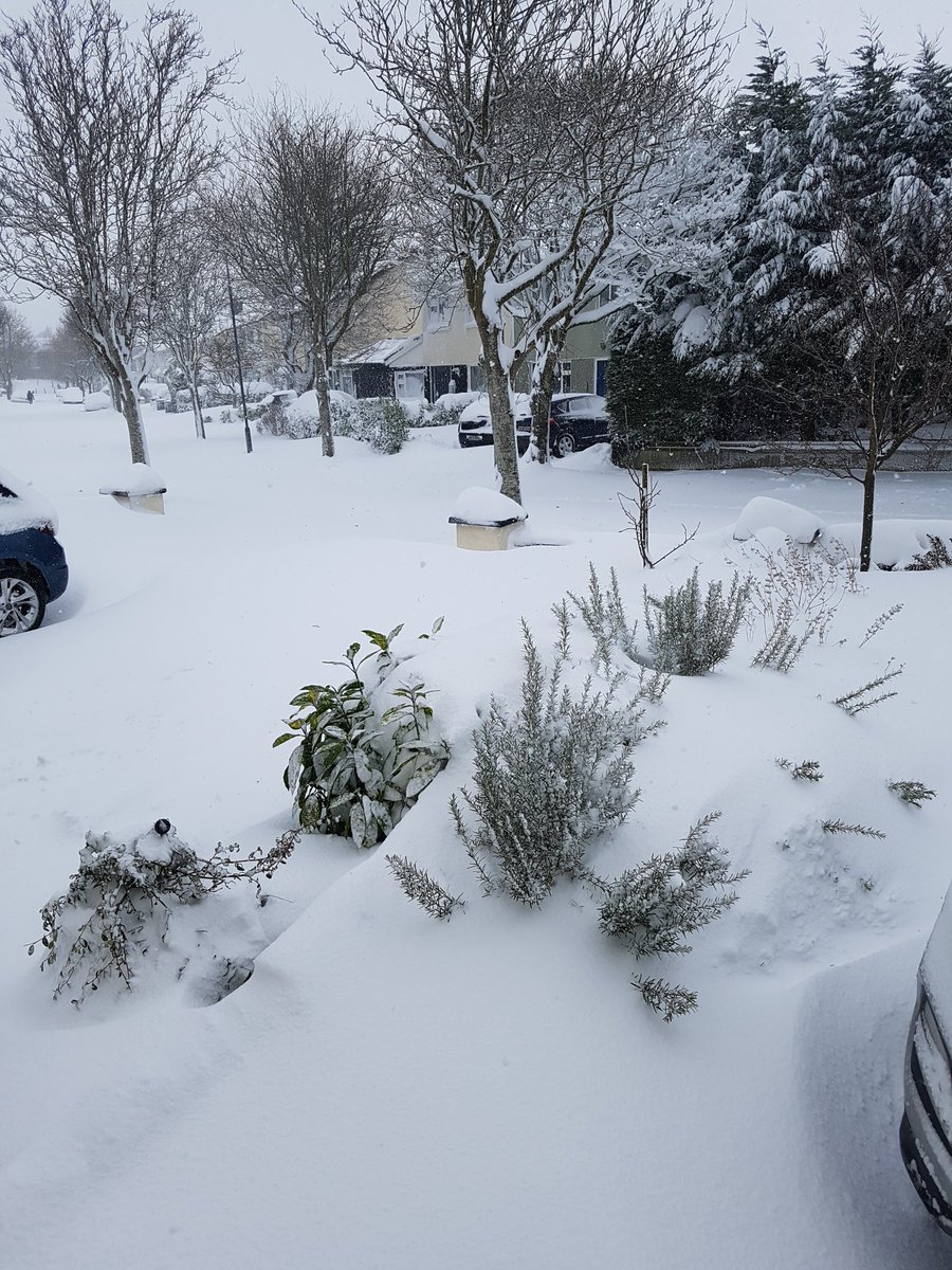 winelabireland's tweet photo. Don't think I'll be visiting you today @Saul_mcconnell and @TitanicHotelBel
#StormEmma #wineontap #bottleproject #kildare #snowpocalypse #kildareweather https://t.co/0foa3xlH34