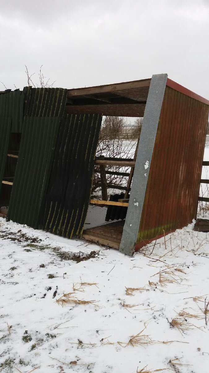 FerribyNth's tweet photo. Poor horses field shelters due to weather we are situated on the banks of the Humber we are really struggling for funds https://t.co/4oSgl8X2jD