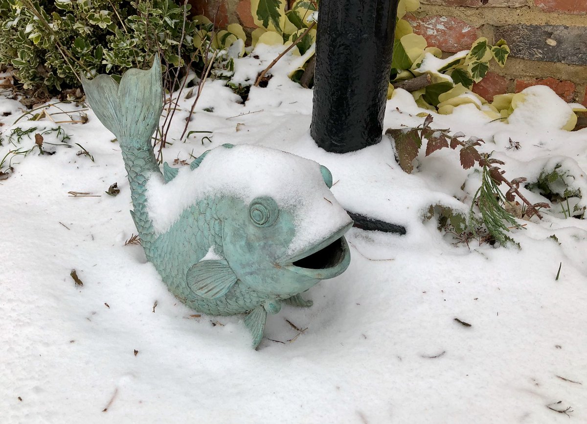 trished's tweet image. It’s all gone a bit #singingringingtree here