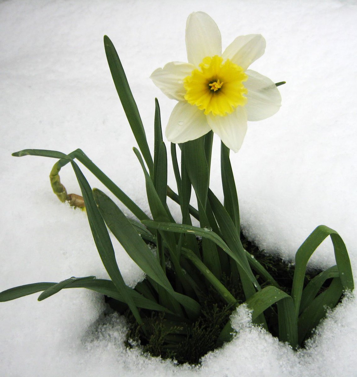 HartleyCServLtd's tweet photo. Remember, Spring is coming! #staywarm #spring #roundthecorner #HCS #completefacilitiesmanagement https://t.co/MUoDj5X7kJ