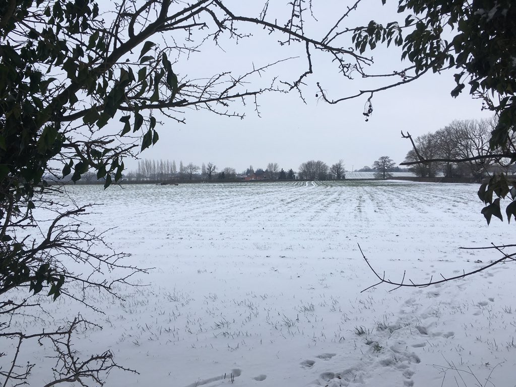 GarySutton8's tweet photo. Lovely morning walk in the snow @GlosWalks https://t.co/uU7CIFFcbG