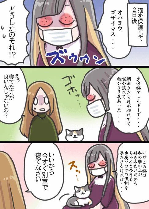 おまけで猫アレルギーになった漫画
今は大丈夫ですが、当時は猫を別室に隔離＋会う時は専用の防護服＋自室に帰る時は手足消毒でお世話していました。３９度の熱が２週間下がらなかった時、お医者さんに「それでもこの子といたいんです！」と言った… 