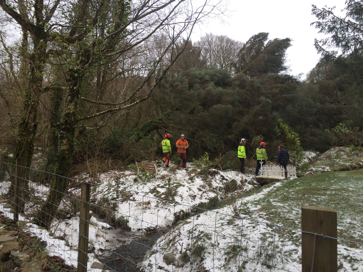 C_Dearden's tweet image. Not much snow, but wind has brought down a large tree on power lines just south of Waunfawr in Gwynedd.  Engineers say most of the area from south of Waunfawr towards Llyn Cwellyn has no power, could take rest of the day to restore it. #walessnow (ish)