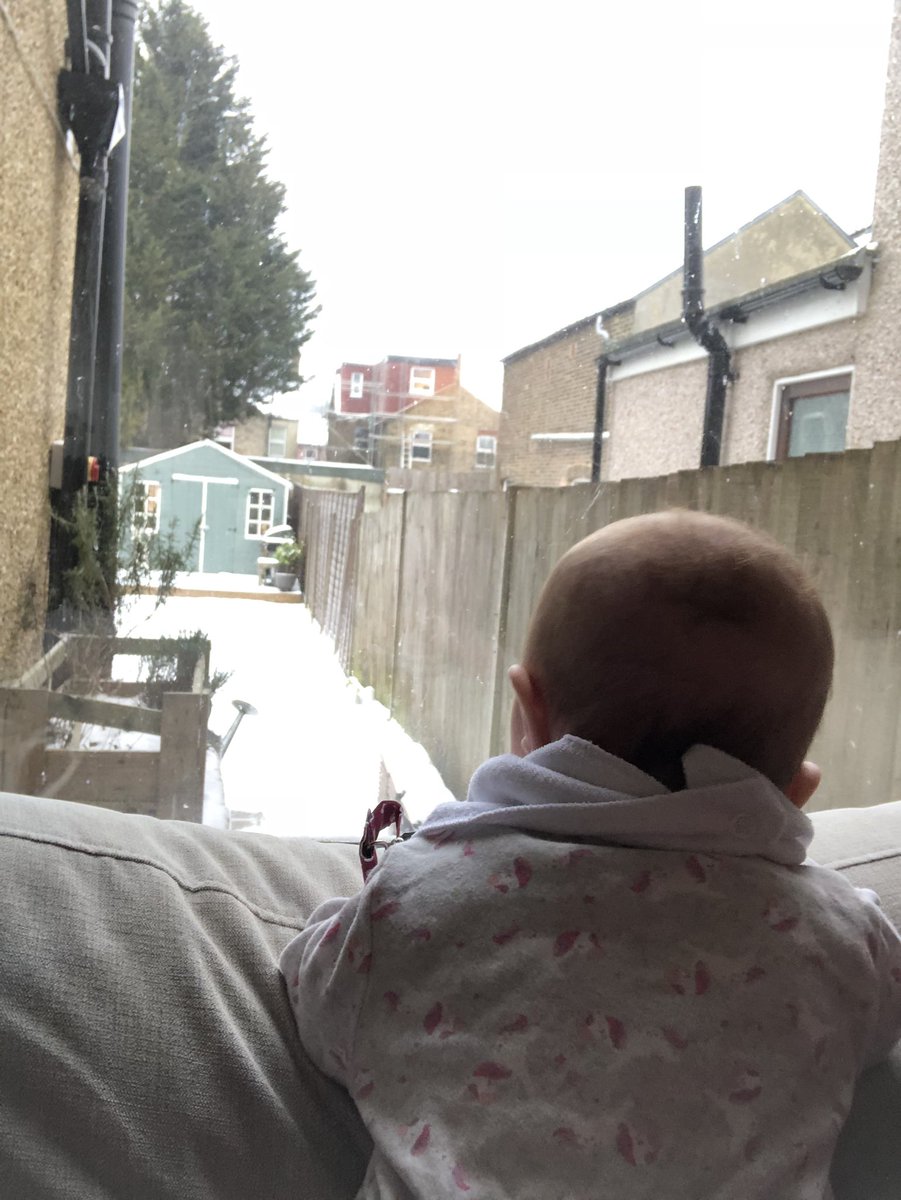 Shelly Nash tweet media