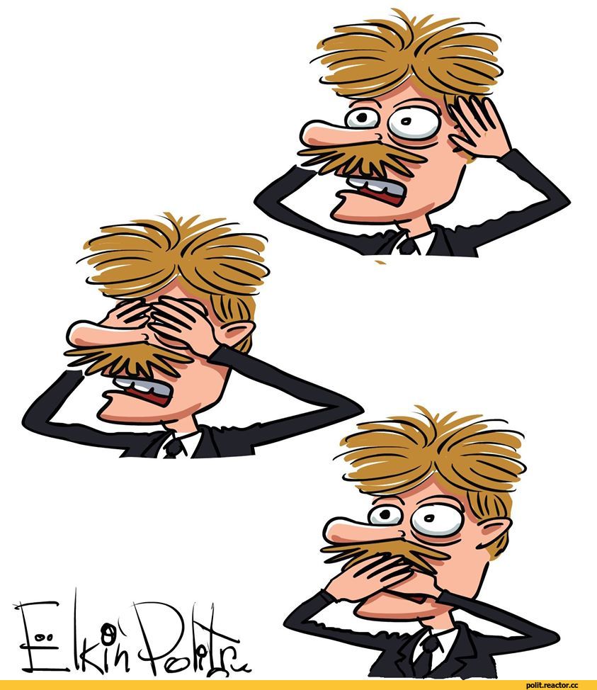 Песков туалеты. Карикатура на пескова. Наполнитель для животных. Золотой ершик для унитаза. Ёлкин карикатуры песков.