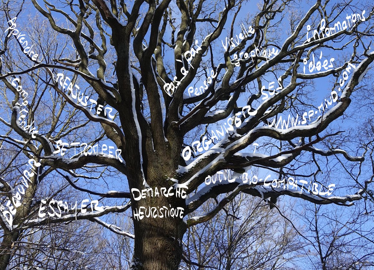 SPmind_conseil's tweet image. Lorsque l’hiver inspire la #carte_heuristique #mind_mapping ...