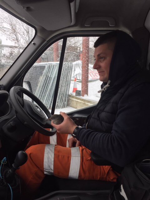 AnglianWater's tweet image. Staff have been extremely busy working in the snow and ice but it’s not just customers they’ve been helping! Danny saved this beautiful wader and after warming up the bird was on its way again in Rochford, Essex. We think it’s a redshank, can anyone help ID this little bird?