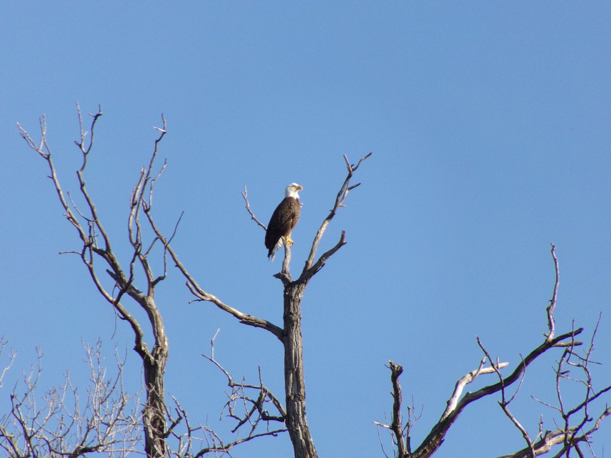 The best birdie at Squaw Valley today!