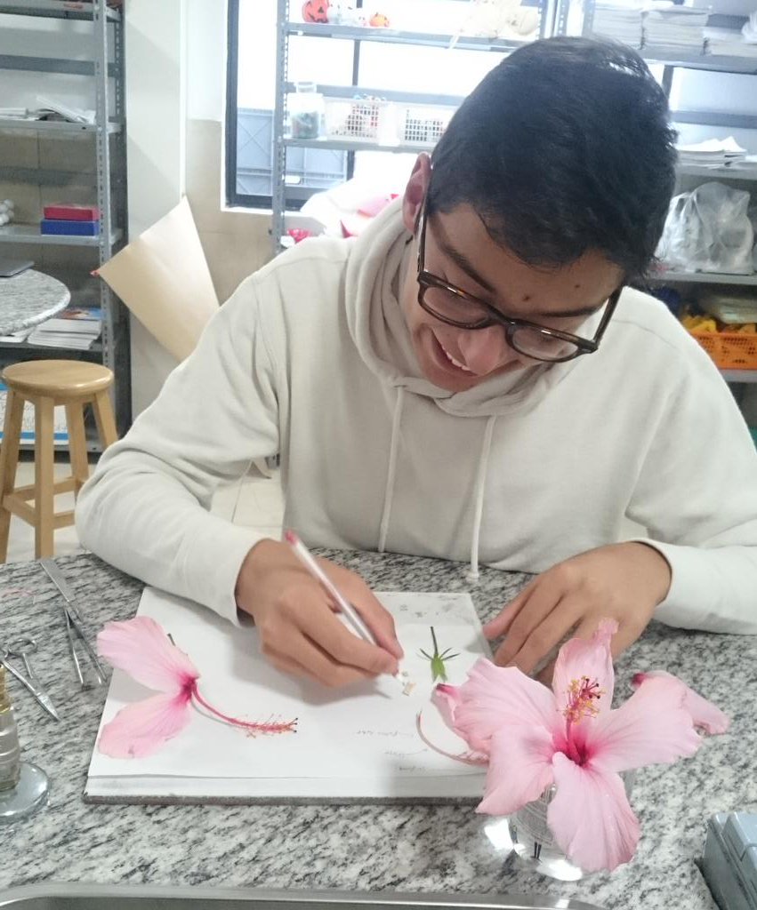 MissZanstra's tweet image. Faaaaaabulous flower dissecting from Y13 #BSQ #IBBIO #Topic9