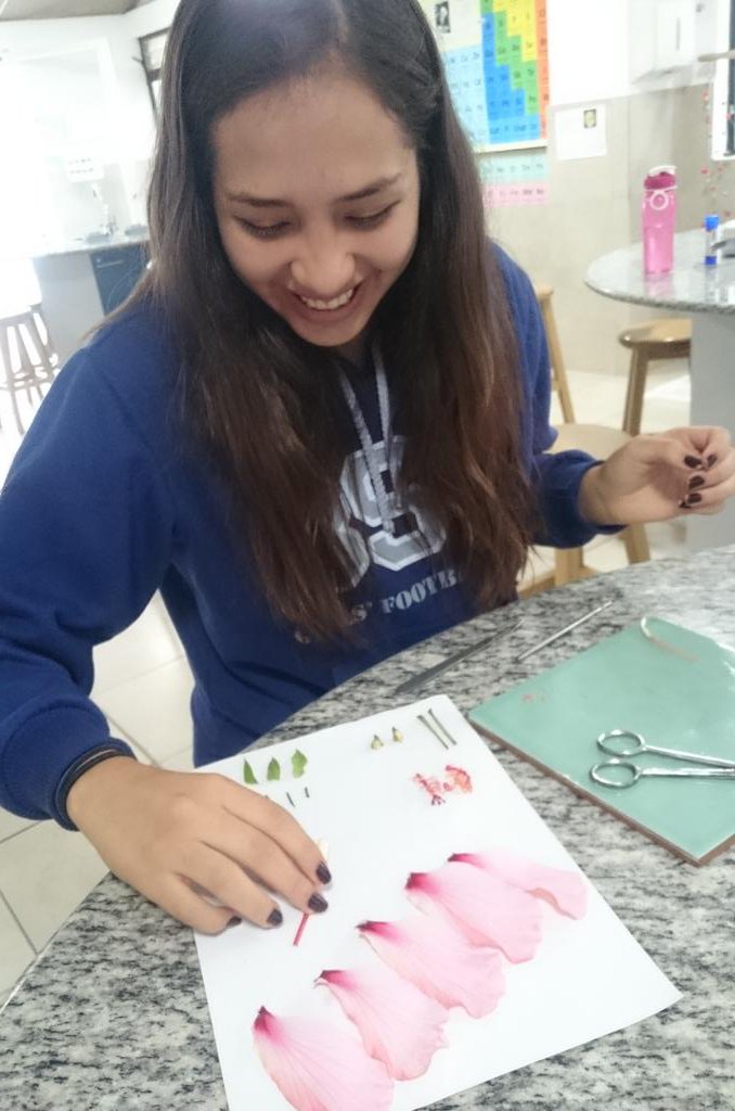 MissZanstra's tweet image. Faaaaaabulous flower dissecting from Y13 #BSQ #IBBIO #Topic9