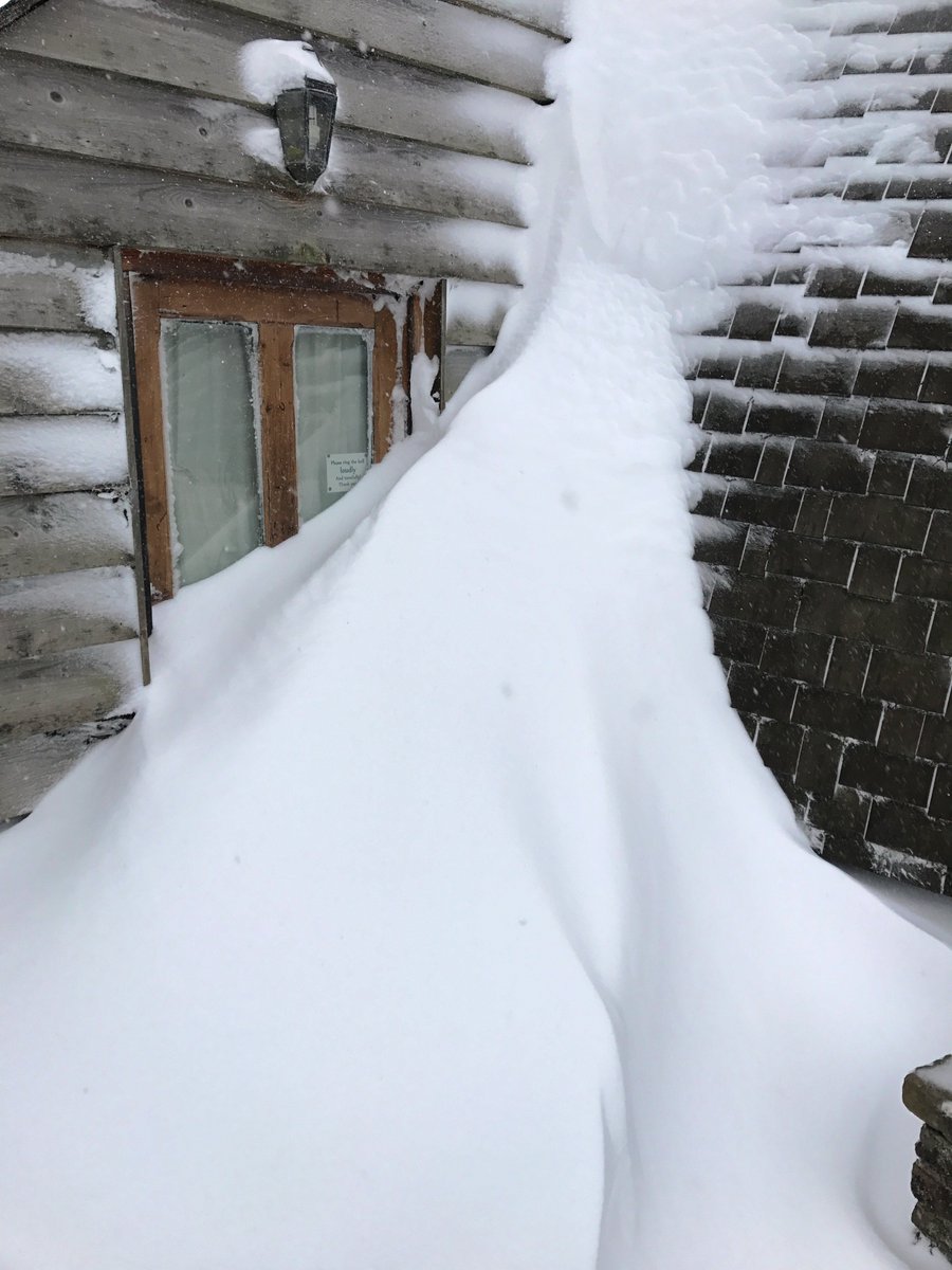 Tim & Véronique tweet media