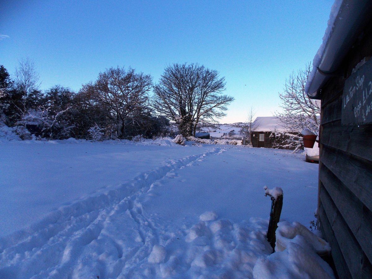 Tim & Véronique tweet media