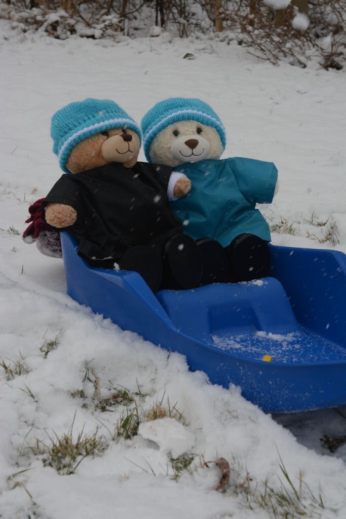 stlukesschoolsw's tweet photo. Another #snowday it is! Anyone managed to successfully build a snowman? ⛄️ Word is - it’s not snowman snow - too powdery! ❄️Great for sledging though! 🛷 #havingfuninthesnow https://t.co/lOR0Gd2DUv