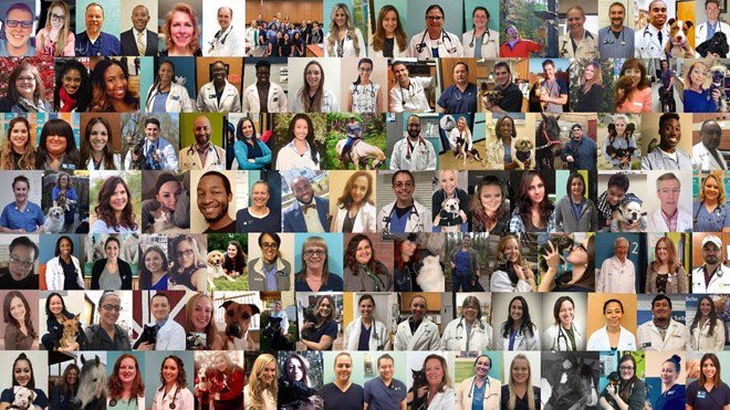 Happy #AssociateAppreciationDay to nearly 17K <a href="/Banfield/">Banfield Pet Hospital</a> associates in over 1000 hospitals! I appreciate you, your hard work and commitment to bringing our vision to life. You are the ❤️ of our practice! #banfieldlife #IchoseBanfield