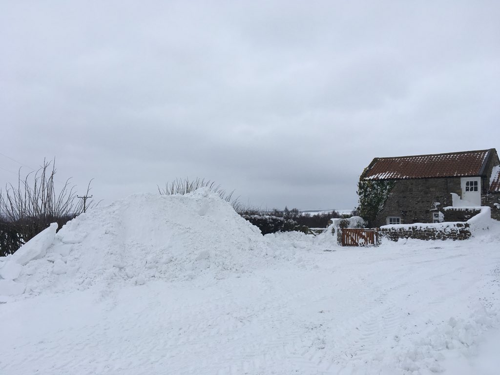 Sandycarrfarm's tweet photo. Sandy Carr Farm Holiday Cottage today. Wish this snow❄️ would do one!!! https://t.co/2KE4NOk635