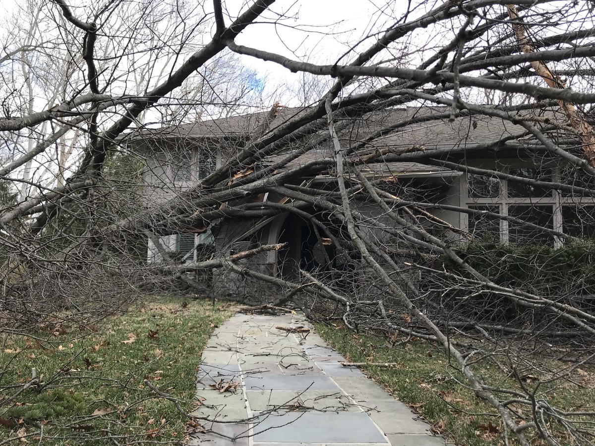 HomeAutomationG's tweet photo. @ARLnowDOTcom @capitalweather this wind really blows! https://t.co/2fWy9V302B