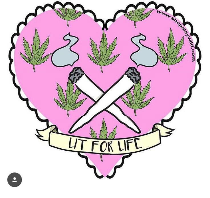 JennyGos13's tweet photo. #FF 🌸 @_jena4n 🌸

#FF 🌸 @Hippie_of_Love 🌸

💚💚💚💚💚💚💚💚💚💚💚 https://t.co/NMkK9RtofK