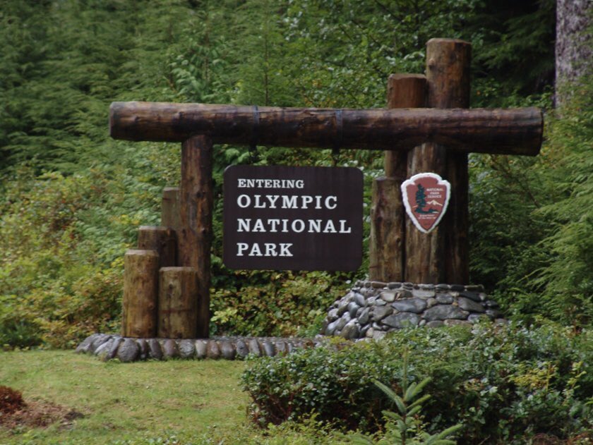 WeekendExplorer's tweet photo. The verdant green surrounds of the #olympicnationalpark sign pretty much says it all. #visitseattle #seattle #seattlewa #olympicparklodges #weekendexplorer #lakequinaultlodge #fypyes #nationalpark #nationalparks #nationalmonument #nps #scenicbyway #npca #goparks #NATJA #NATJAorg https://t.co/JSrnwjiOpO