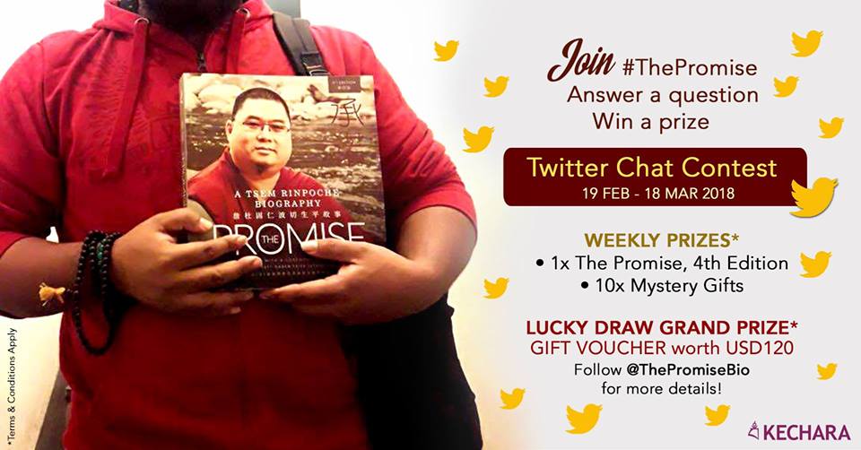 ThePromiseBio's tweet photo. Join #ThePromise #TwitterChat #Contest every SUNDAY from 10 - 10.30pm (GMT +8), answer the GOLDEN QUESTION and WIN!!! See the image below for more details.     

#giveaways
#contests
#books
#bookworms
#goodreads
#freebies
#WinTakeaway
#RetweeetPlease
#ShareTheLove
#pleaseshare https://t.co/G6AK77qiqZ