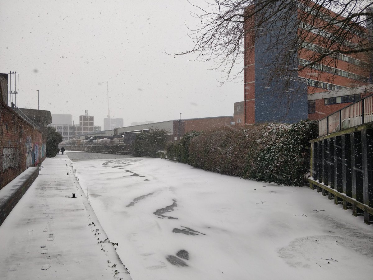 Gun Quarter tweet media