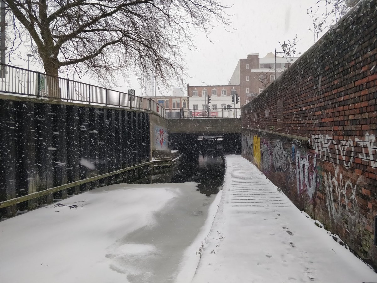 Gun Quarter tweet media