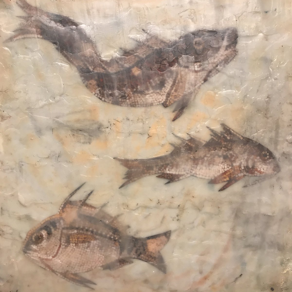 MarylandHall's tweet photo. Detail of “Fishy, Fishy, Fishy” (encaustic) by Kendyl Lawson in “Waxed: Encaustic Painting by Kendyl Lawson and Michael Matthews” on display through April 8 #gallery #exhibitions #mdhall #artforall #annapolisart #localart #encaustic https://t.co/5XcnqALGUy