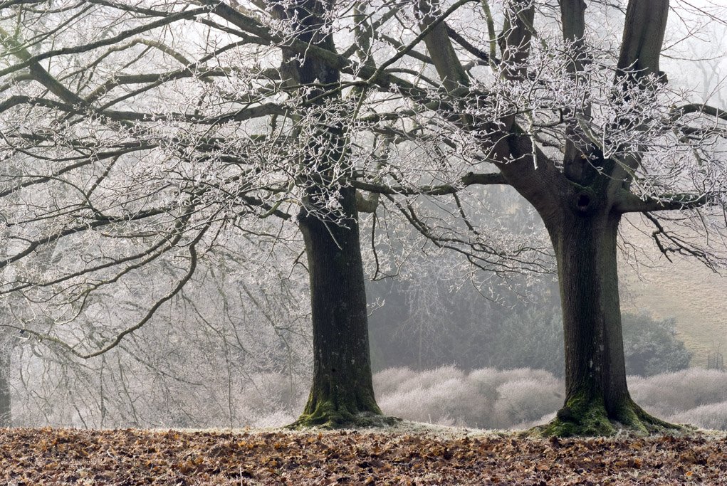 If you can manage to get out and about this weekend with your camera,  take a look at my tips for winter photography before you go. Most importantly, take your phone, a shovel and a flask of tea if you drive!
 imageseen.co.uk/winter-photogr… #photographinginwinter #winterphotography