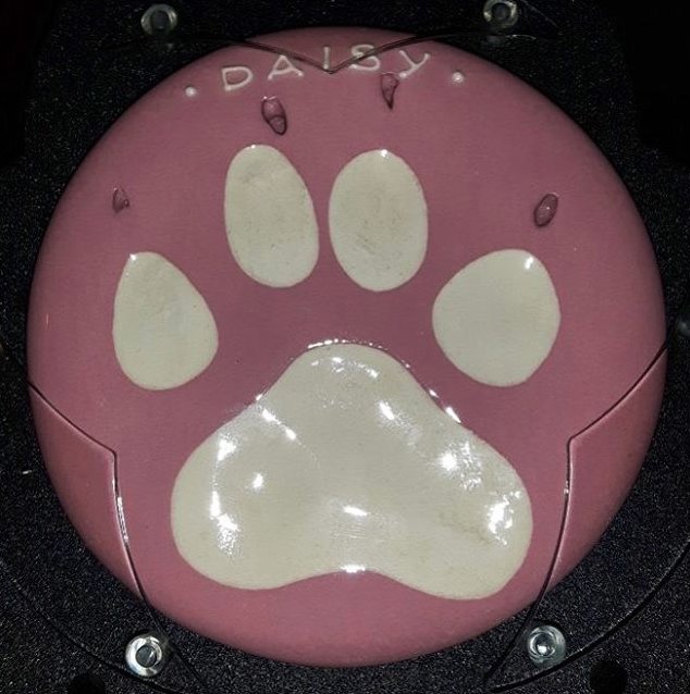 Peartree tweet media