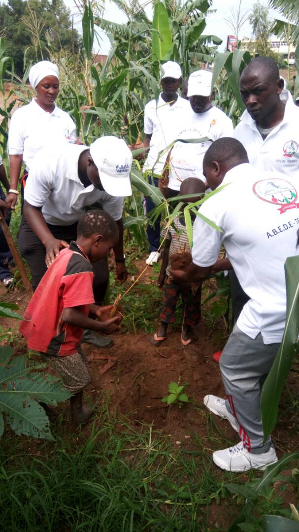AbedeTerimbere's tweet photo. Abarundi bati ":Igiti kigororwa kikiri gito." Nibibondo ntibisiba kwifatanya na @AbedeTerimbere mugukingira ibidukikije nkuko biri  mumigambi imwe imwe yishirahamwe @abavukanyi @RacineMizero @WID_collectif @gncaho @afmasharikifest @LaurielIzere @akezanet @ndis2025 https://t.co/HI10TO8nXD