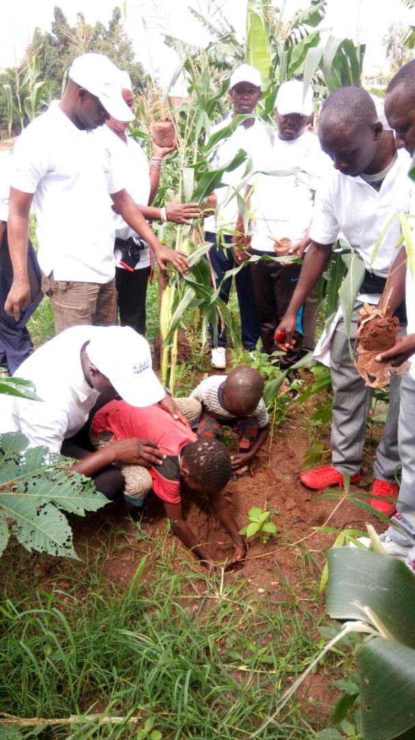 AbedeTerimbere's tweet photo. Abarundi bati ":Igiti kigororwa kikiri gito." Nibibondo ntibisiba kwifatanya na @AbedeTerimbere mugukingira ibidukikije nkuko biri  mumigambi imwe imwe yishirahamwe @abavukanyi @RacineMizero @WID_collectif @gncaho @afmasharikifest @LaurielIzere @akezanet @ndis2025 https://t.co/HI10TO8nXD