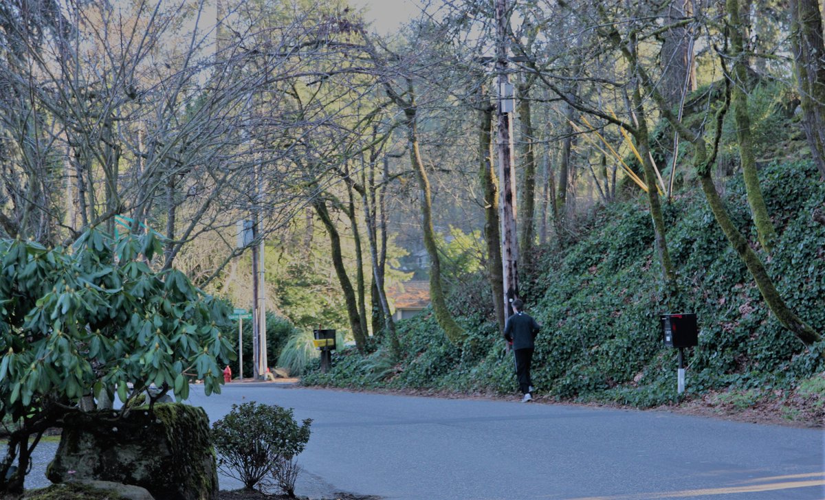 LOLakeRun's tweet image. Thank you Mass Mutual of Oregon for continuing to sponsor the annual @LOLakeRun  @NHA_Housing  oregon.massmutual.com