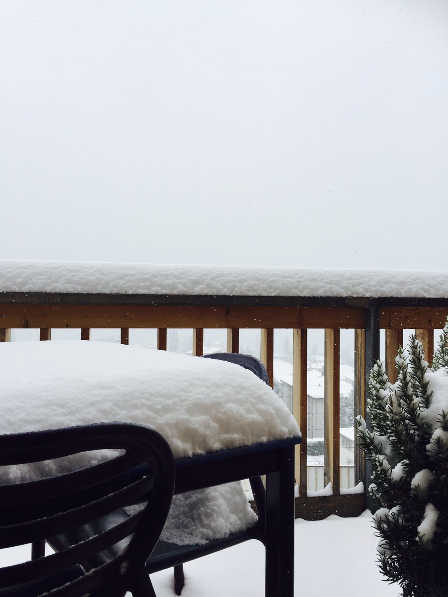 Meteorological spring, they said 😐@MyLausanne #neige