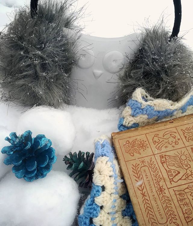 konyvutcablog's tweet photo. Tombol a tél, de mi kitartunk! 🌬️❄️😀📚
#könyvutca #könyvfotó #bookphotography #bookstagram #winter #tél #bagoly #owl https://t.co/NjHQj5vZjz