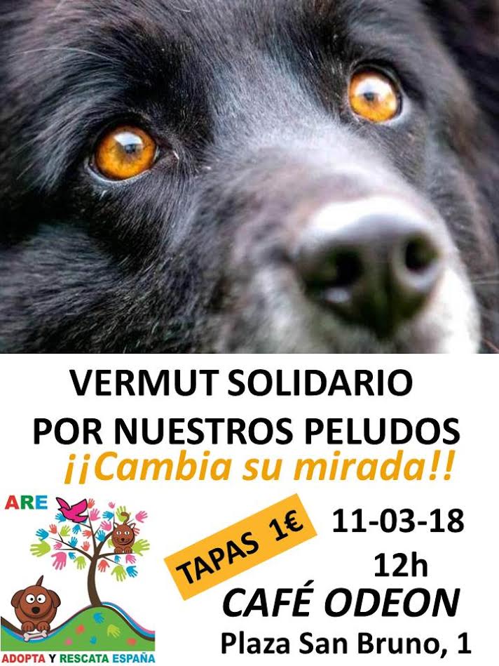 Ised Veterinaria Amantes De Los Animales De Zaragoza El Proximo Domingo La Protectora Adoptayrescata Volvera A Realizar Un Vermut Solidario En El Cafe Odeon Tapas A Solo 1 Y La