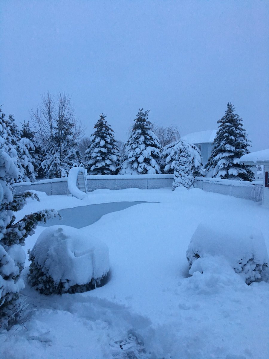 _Lindsey_Cox's tweet photo. The backyard at my parents house this morning! #Buffalo #NoThankYou #ItsPrettyThough https://t.co/DH4JU6BZcU