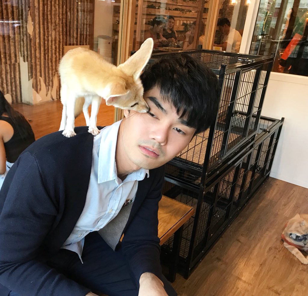 sunterry's tweet photo. หนูเป็นจิ้งจอกทะเลทราย หนูทักทาย สวัสดีจ๊ะ พี่เต๋อ บอกว่า สวัสดีจ้ะ นะจ๊ะ หนูบอกว่า สวัสดีจ๊ะ ไม่ได้เหรอ พี่เต๋อ บอกว่า ต้องจ้ะ ดีกว่านะจ๊ะ หนูเป็นจิ้งจอกทะเลทราย จะรู้ดีกว่าได้ไง ว่า สวัสดีต้องจ๊ะ หรือ จ้ะ หนูบอกว่า สวนกลับเลยมั๊ยค่ะ พี่เต๋อ บอกว่า มั๊ยค่ะ นะคะ มึงพูดมาก จิกตาที https://t.co/HcDF5xpR1m
