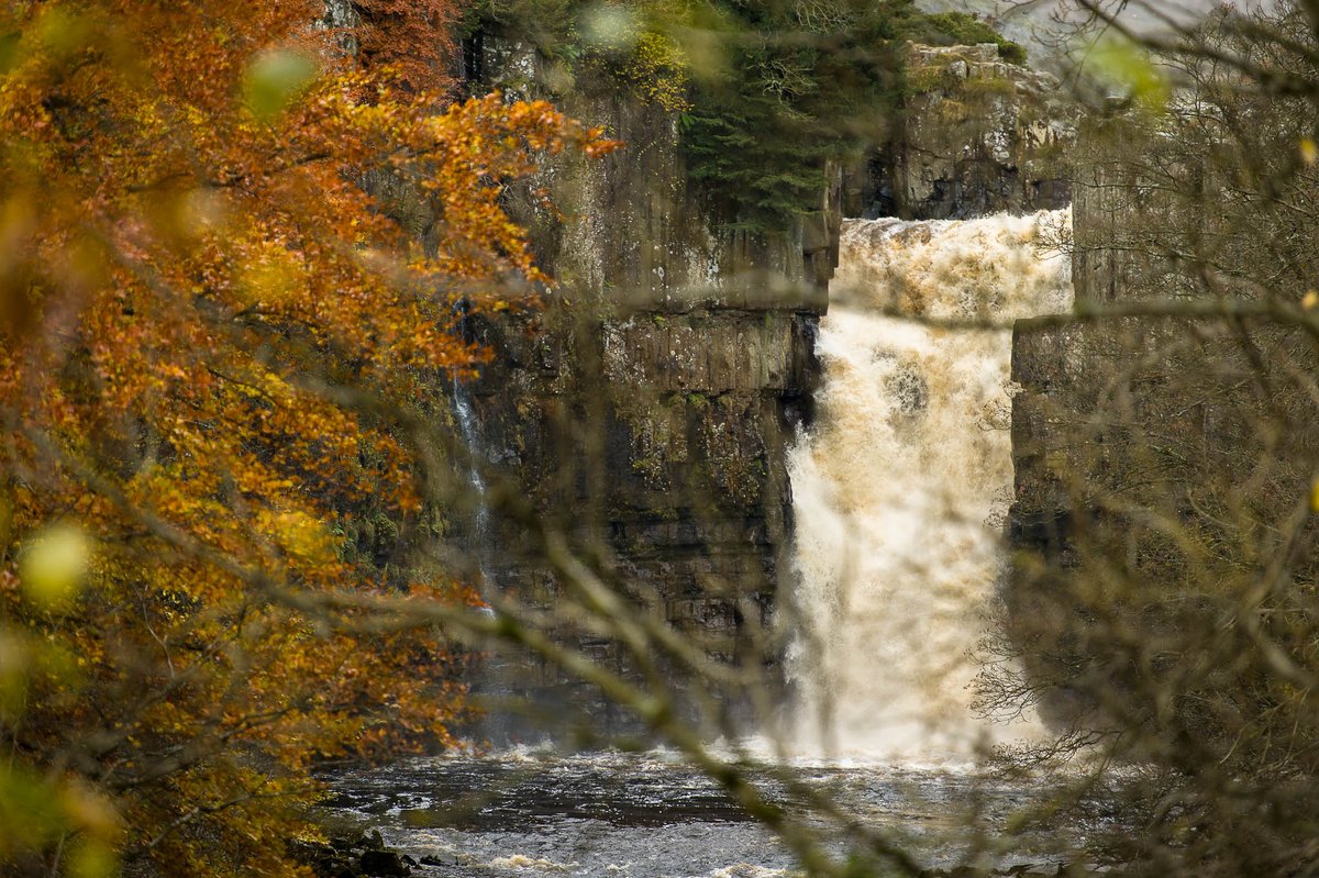 We're thrilled that High Force waterfall, part of the Raby Estate, is a finalist in the prestigious @CountryfileMag awards. There's still time to vote for us here countryfile.com/bbc-countryfil…