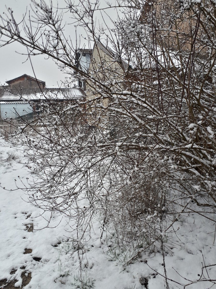 PaolaRista's tweet photo. Neveeee!! E qualcuno si diverte!! πΆ#mydog #freddooo #bastaaa βπ¨βοΈ https://t.co/xpxSkhBDl8