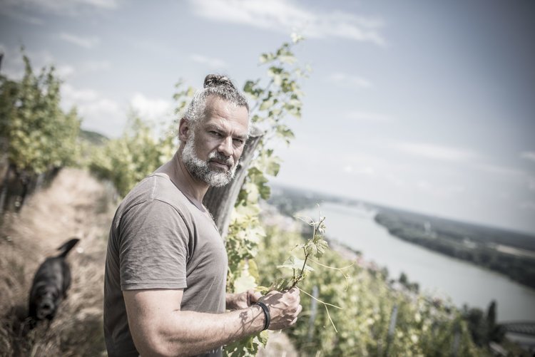 AustrianWineUK's tweet photo. Taste wonderful #AustrianWine and meet lovely winemakers at #NewOldWorld by @newcomer_wines on Monday:

Clemens Strobl – Wagram
 
Franz &amp; Christine Strohmier – Styria
 
Roland &amp; Alice Tauss – Styria
 
Christian Tschida - Neusiedlersee

Keep an eye out later for the final four!! https://t.co/PTB2axC4cz